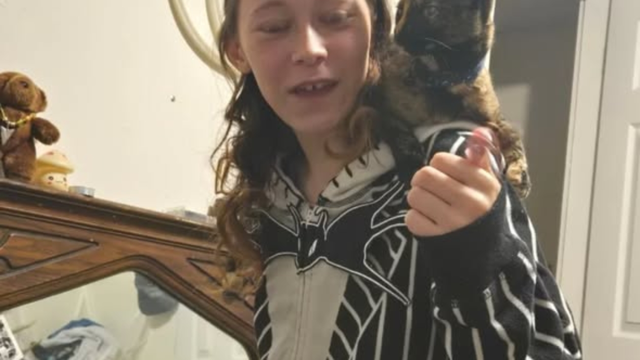 Katlan Roura Car Accident Florida Obituary, Death: Cherished Community Member, Dies In Crash