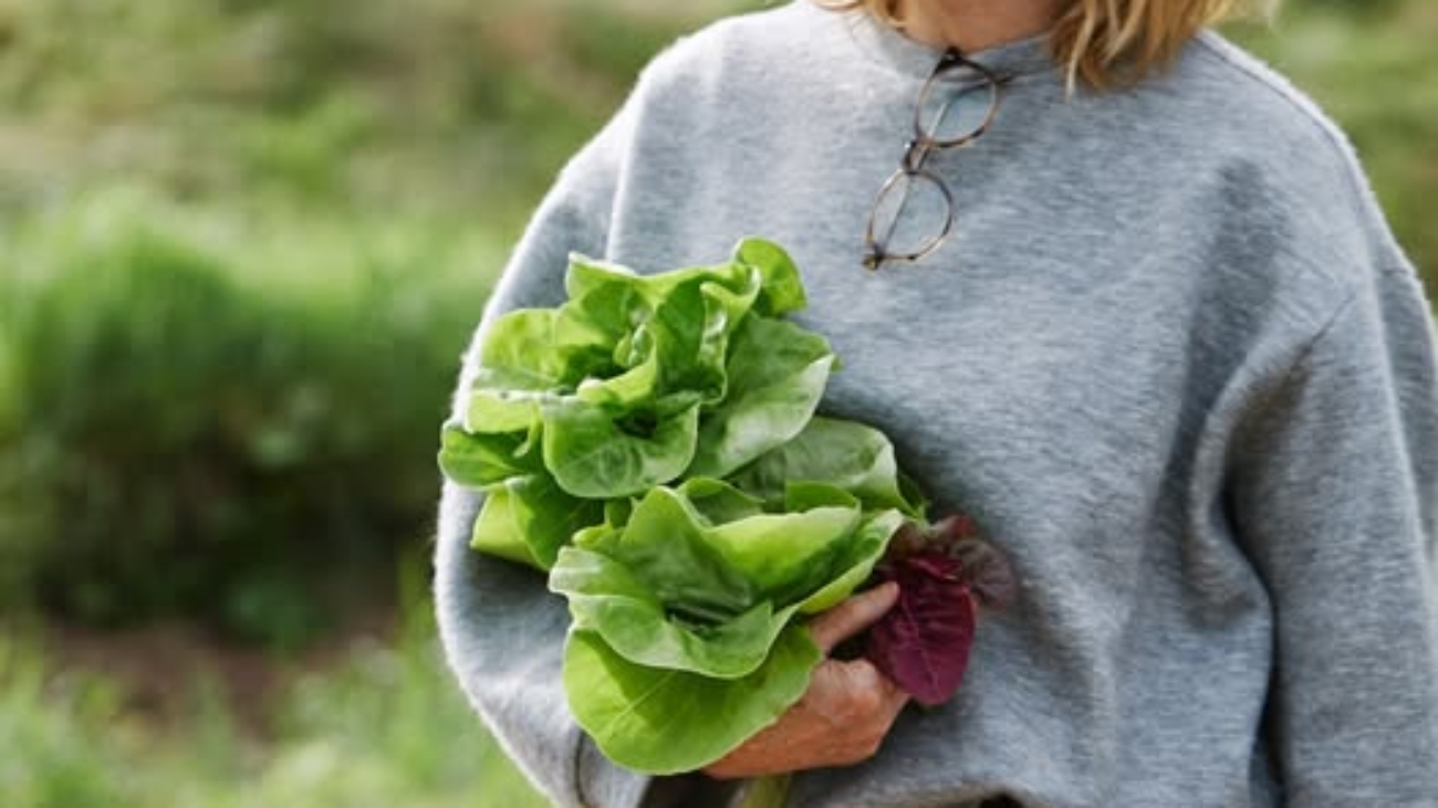 Skye Gyngell Australia Obituary, Death: Beloved Chef Sadly Has Passed Away